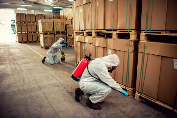 Best Pest Removal Services  in Whiteville, TN