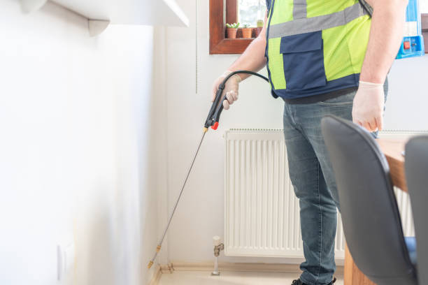 Best Flea Control Services  in Whiteville, TN