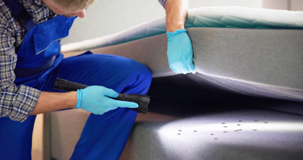 Pest Control Cost in Whiteville, TN