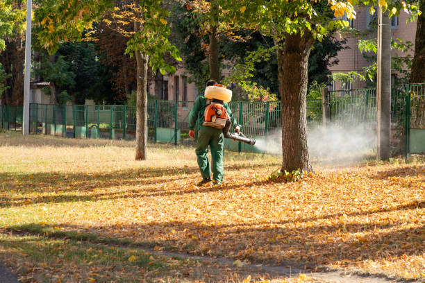 Best Best Pest Control Companies  in Whiteville, TN
