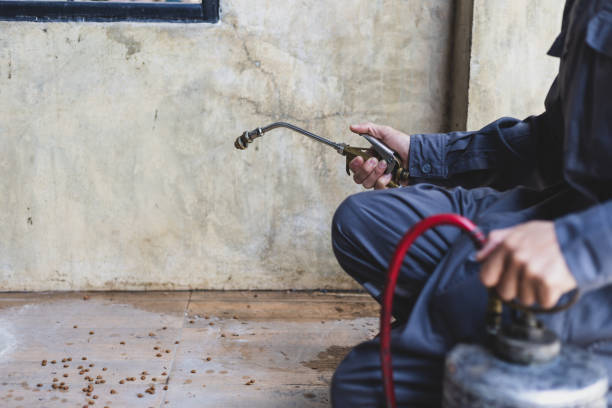 Professional Pest Control in Whiteville, TN